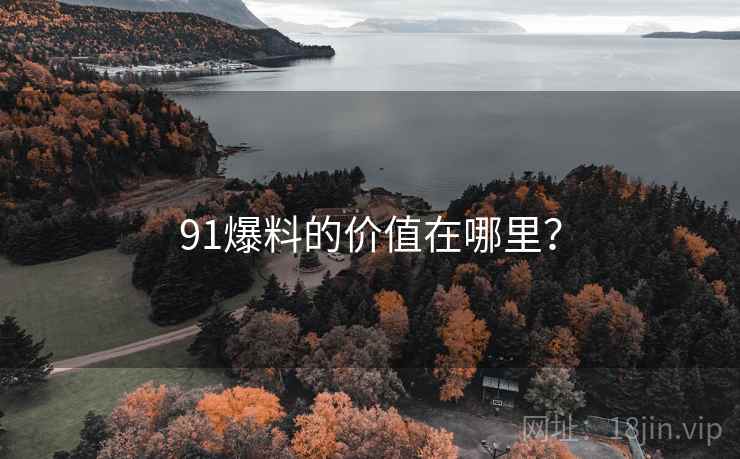 91爆料的价值在哪里？
