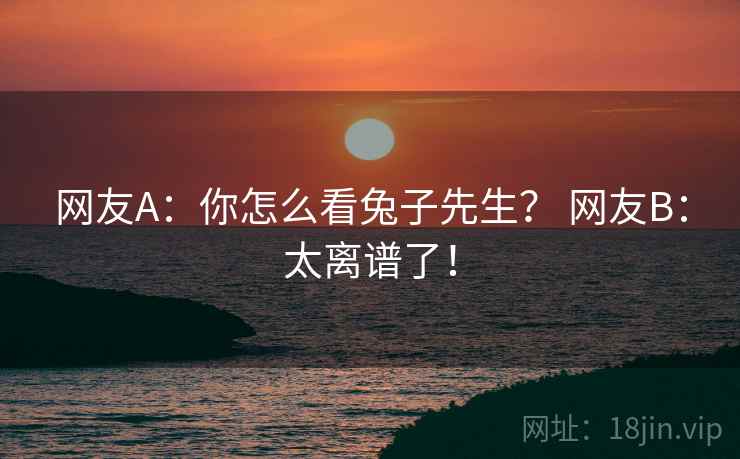 网友A：你怎么看兔子先生？ 网友B：太离谱了！