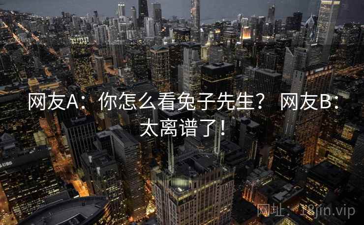 网友A：你怎么看兔子先生？ 网友B：太离谱了！
