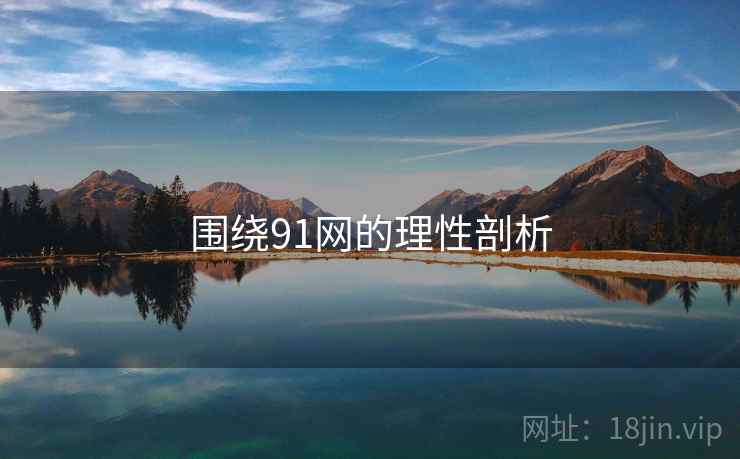 围绕91网的理性剖析