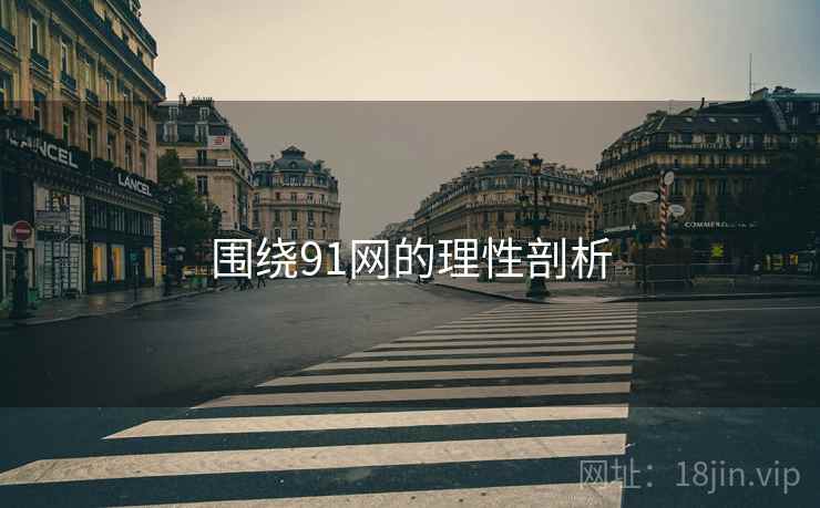 围绕91网的理性剖析