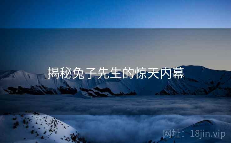 揭秘兔子先生的惊天内幕